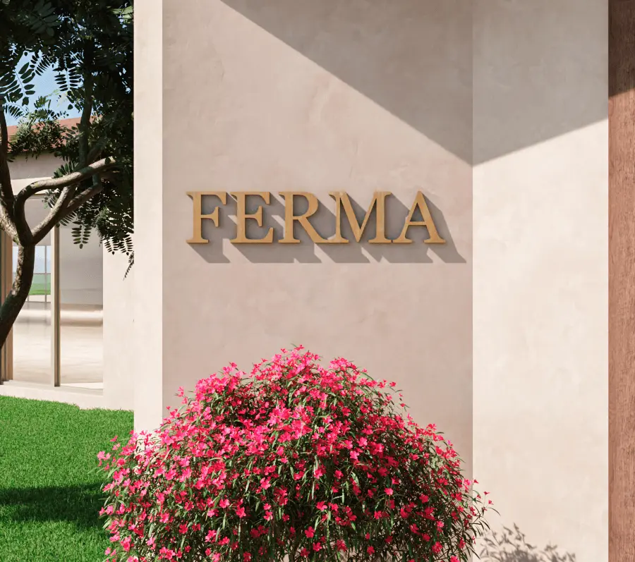 Ferma Image